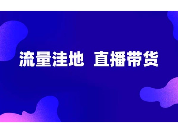正播網(wǎng)紅直播帶貨，新的流量洼地！